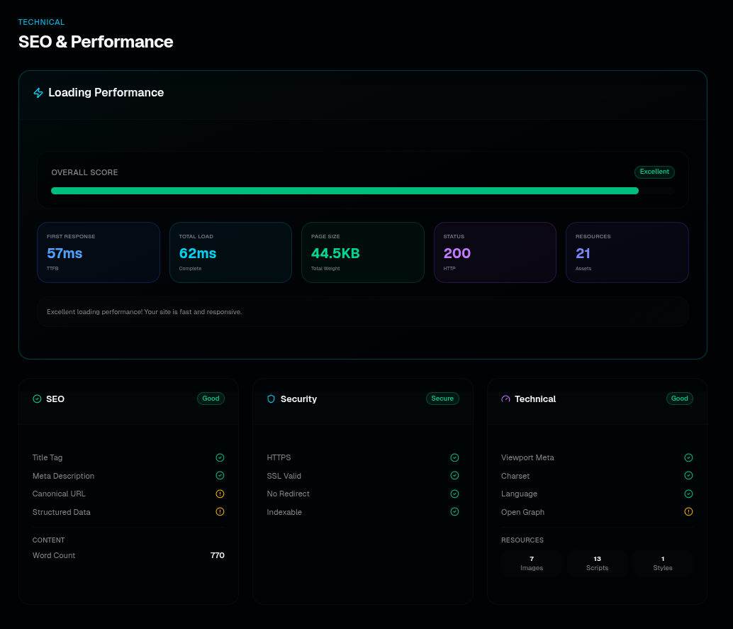 SEO and Performance Metrics